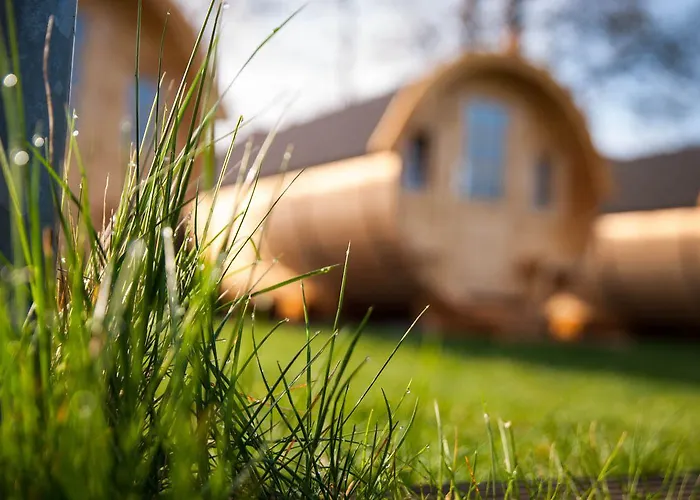 Beim Holzschnitzer 3* Dreis-Brück